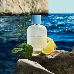 Dolce & Gabbana Light Blue Pour Homme Eau de Toilette< Eau De Toilette|Eau De Toilette