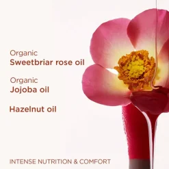 Clarins Lipgloss><noscript><img width=