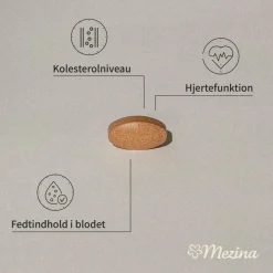 Mezina Hjerte & Kredsløb><noscript><img width=