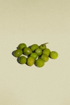Mezina Hjerte & Kredsløb><noscript><img width=