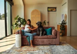 Homedics Luftrensere><noscript><img width=