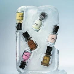 FUGAZZI Discovery Set|Discovery Set><noscript><img width=