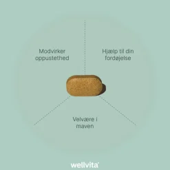 Wellvita Fordøjelse & Fibre<Macoform Plus