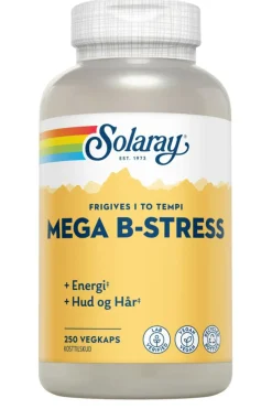 Solaray Hud, Hår & Negle|Magnesium>Mega B-Stress