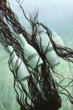 Björn Axén Shampoo<Moisture Shampoo