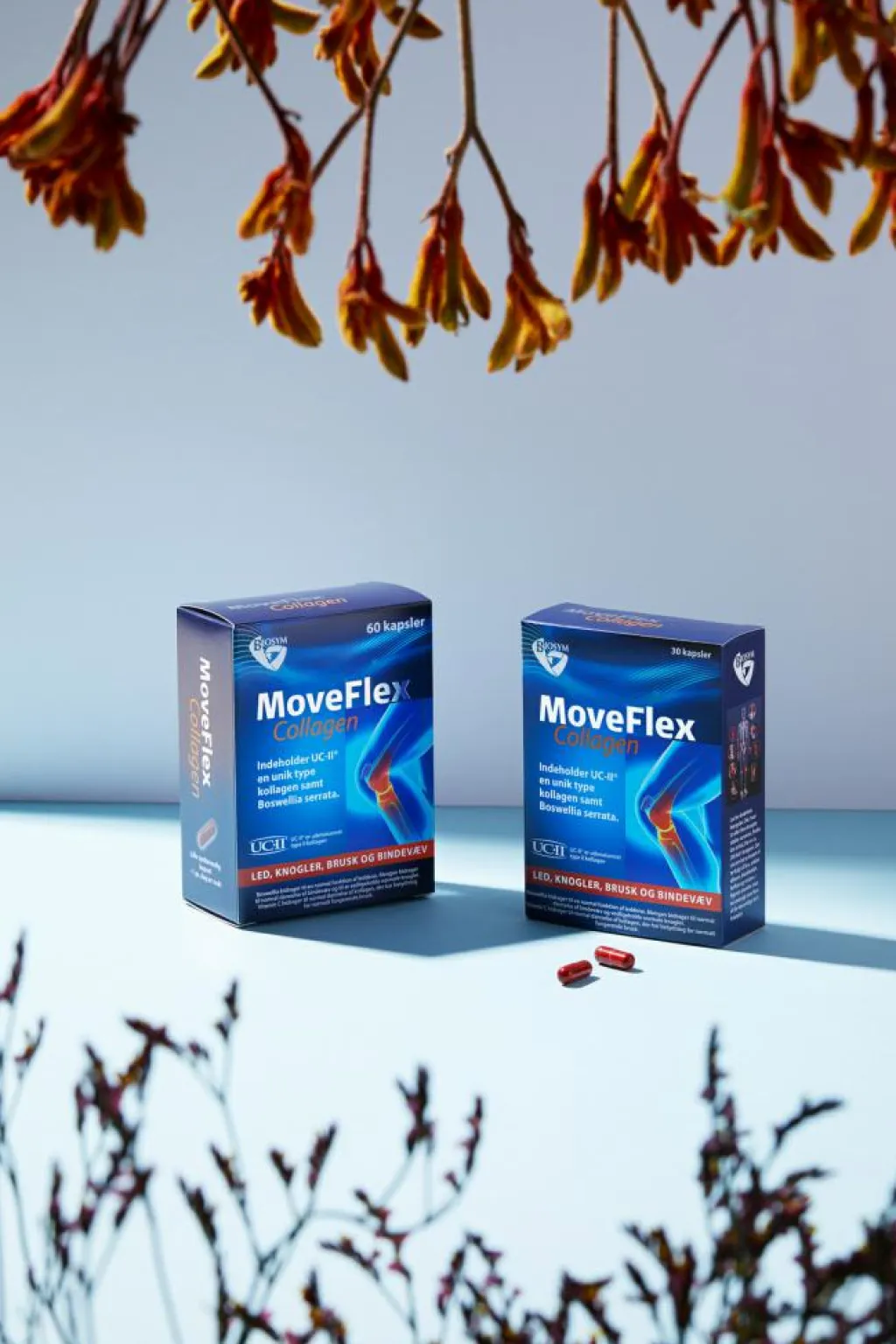 Biosym Ingredienser>MoveFlex Collagen