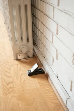 SafeTrap Skadedyrsbekæmpelse><noscript><img width=