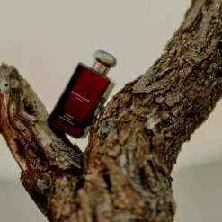 Jo Malone London Myrrh & Tonka Cologne Intense< Til Hende