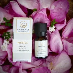 Ambience Duftolier><noscript><img width=