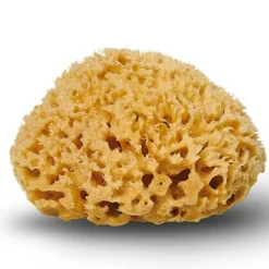 Cocoon Badetilbehør<Natursvamp