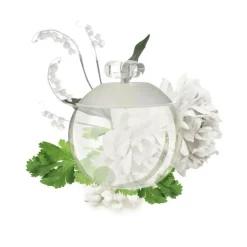 Cacharel Eau De Toilette|Parfumer Til Hende<Noa Eau de Toilette