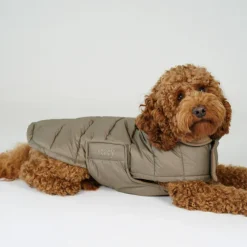 Staey Nora Dog Coat< Øvrigt