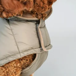 Staey Nora Dog Coat< Øvrigt