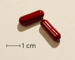 Biosym OmniVita® Q10 Energy< Ingredienser