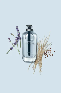 Coach Eau De Toilette|Eau De Toilette<Open Road Eau de Toilette