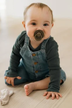 BIBS Sutter><noscript><img width=