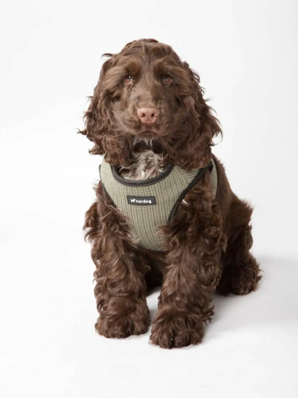 nordog Halsbånd & Seler<Park Hundesele