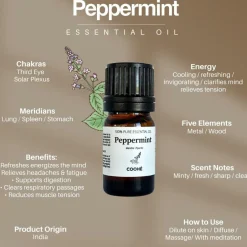 COOHÉ Peppermint Essential Oil< Duftolier