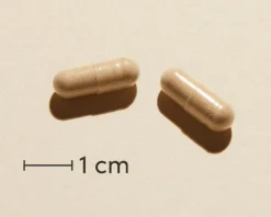 Verman Peptrase GO< Fordøjelse & Fibre