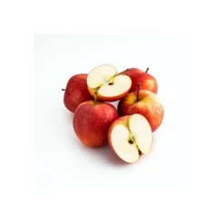 Less Is More Specialkure<Phytonutrient Hairroot Serum