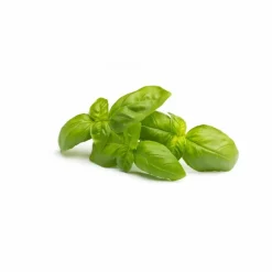 Less Is More Specialkure<Phytonutrient Hairroot Serum