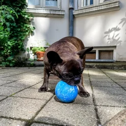 HEVEA Planet Ball Naturgummi< Dyrelegetøj