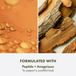 Origins Plantscription SPF 25 Power Anti-Aging Face Cream< Anti-Age