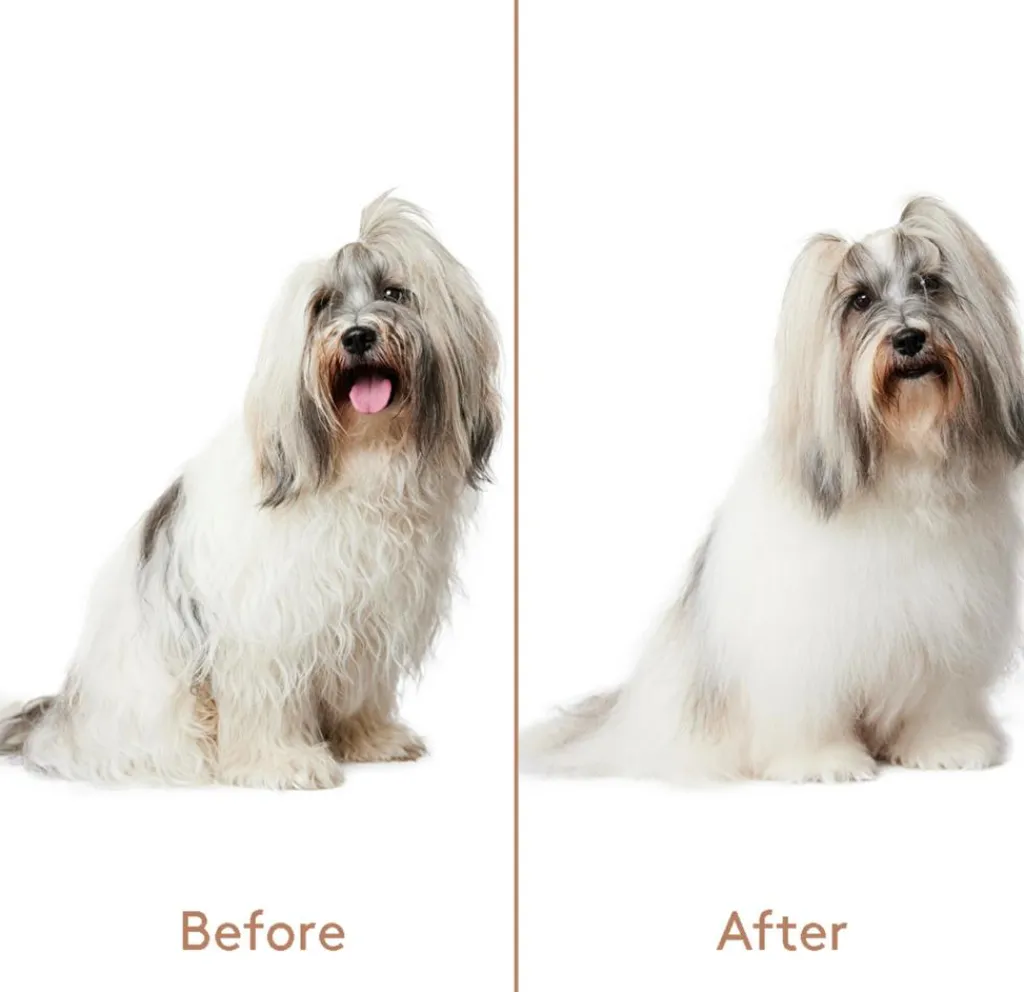 nocat studio Hundeshampoo>Refresh+Detangle Groomingspray
