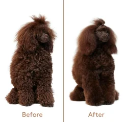 nocat studio Refresh+Detangle Groomingspray< Hundeshampoo