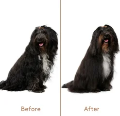 nocat studio Hundeshampoo<Refresh+Detangle Groomingspray