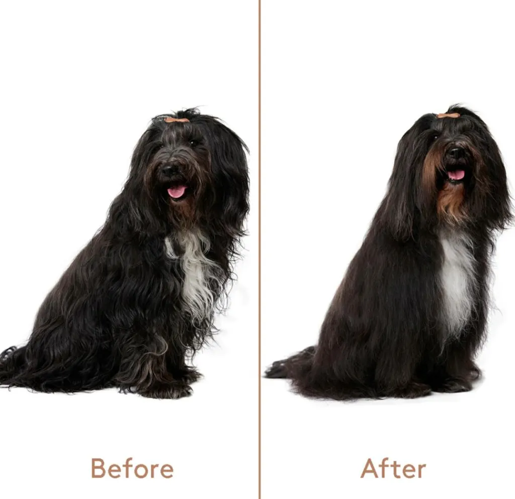 nocat studio Hundeshampoo<Refresh+Detangle Groomingspray