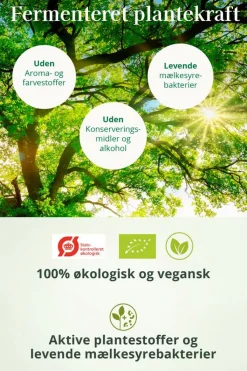 Herrens Mark REGOMUN< Immunforsvar