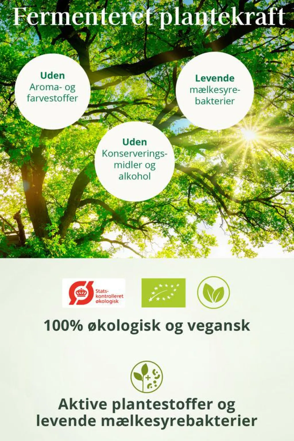Herrens Mark REGOMUN< Immunforsvar