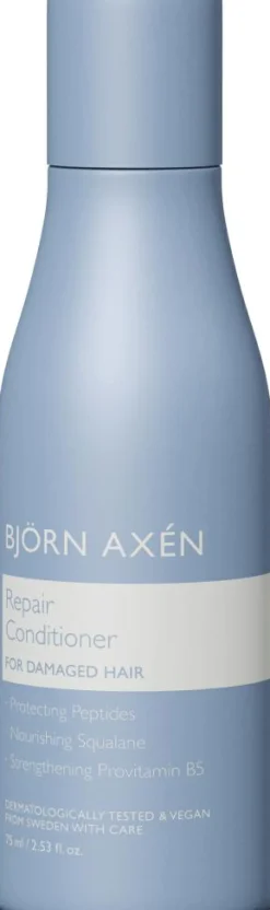Björn Axén Rejsestørrelser>Repair Conditioner