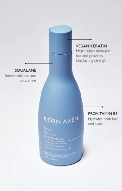 Björn Axén Shampoo>Repair Shampoo