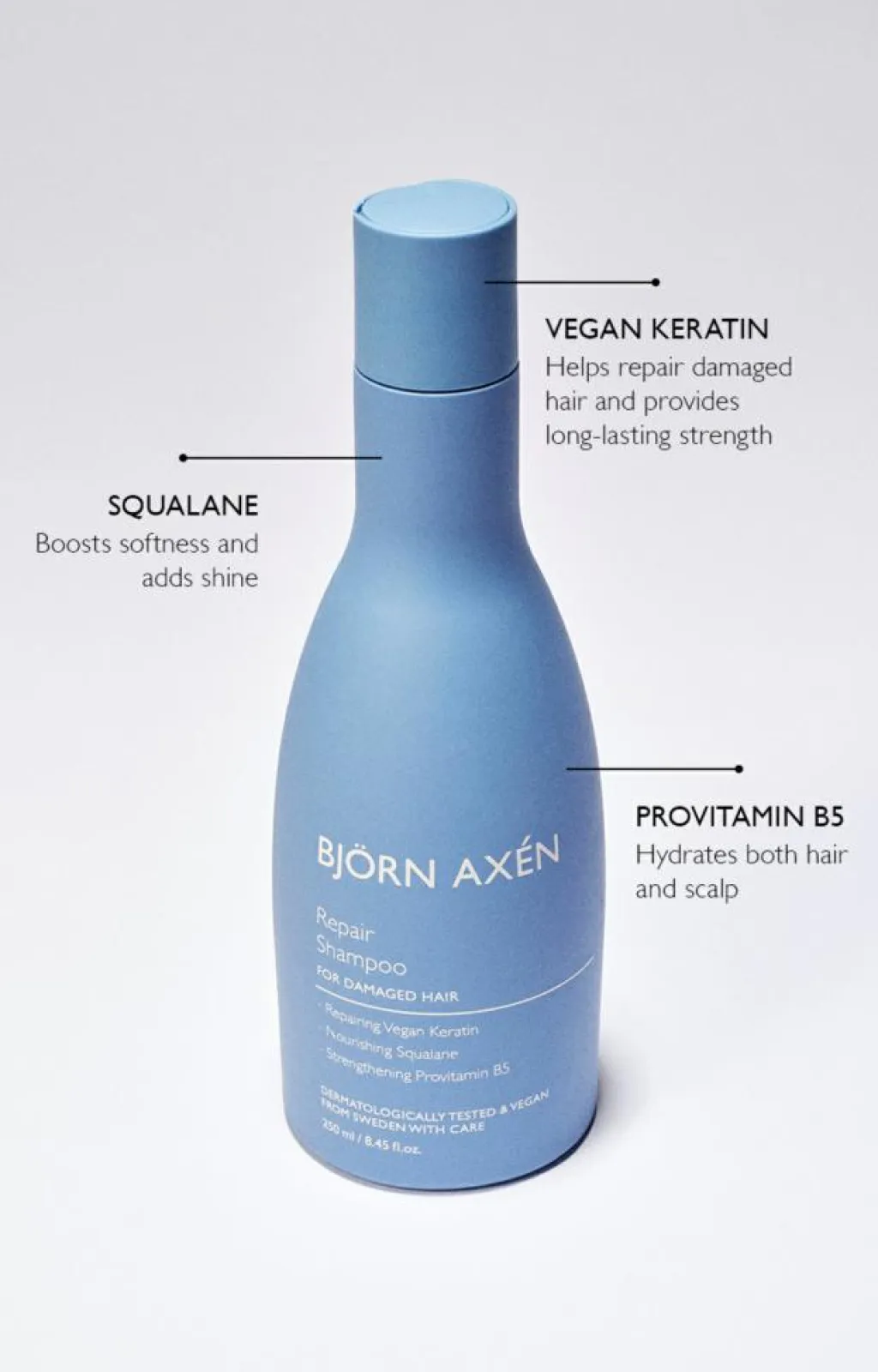 Björn Axén Shampoo>Repair Shampoo