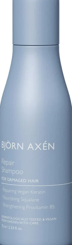 Björn Axén Rejsestørrelser>Repair Shampoo