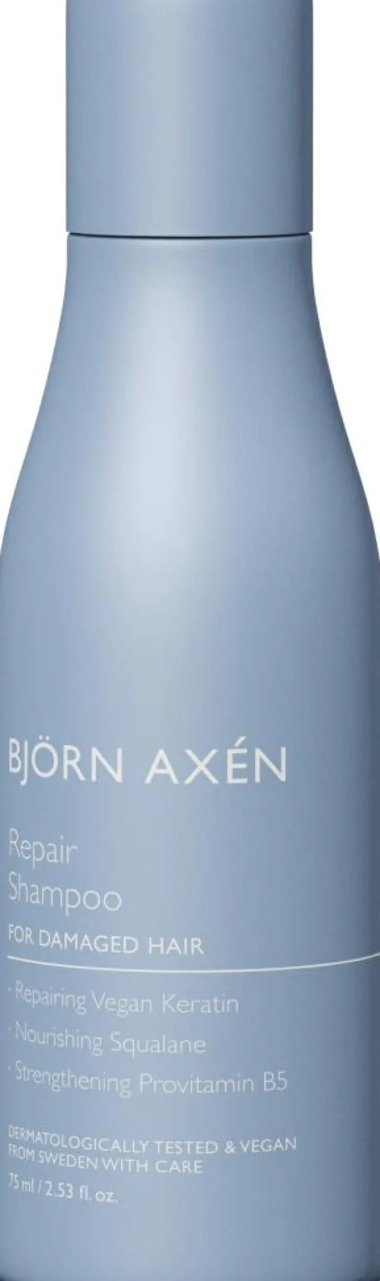 Björn Axén Rejsestørrelser>Repair Shampoo