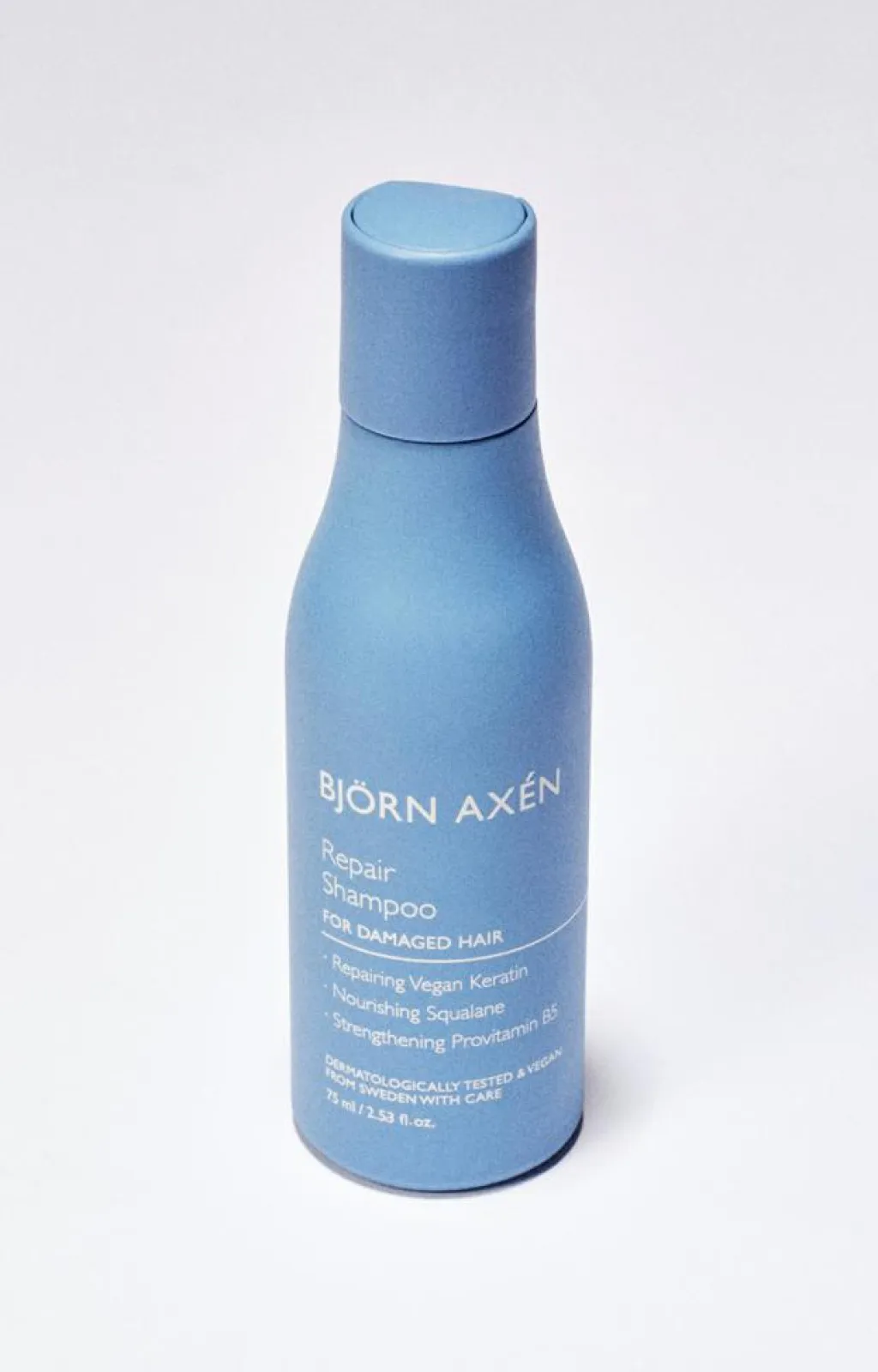 Björn Axén Rejsestørrelser>Repair Shampoo