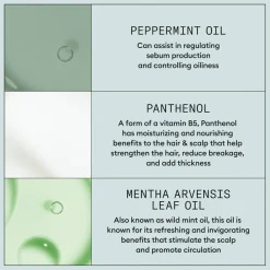 Nioxin Hårspray / Hårlak><noscript><img width=