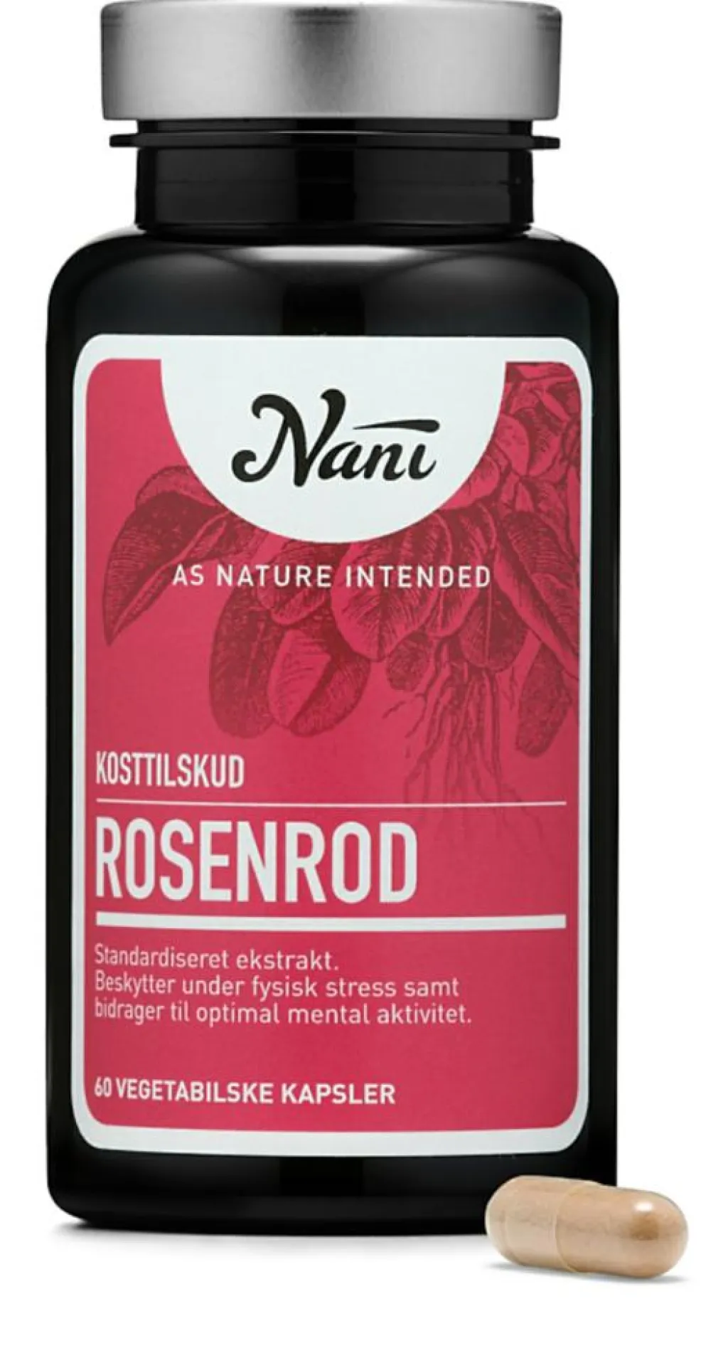 Nani Rosenrod< Øvrige|Energi
