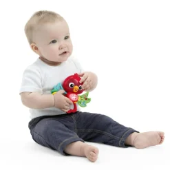 Baby Einstein Motorik & Bevægelse>Roxys Aktivitetslegetøj med Ophæng