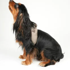 Staey Saga Step-in Harness< Halsbånd & Seler