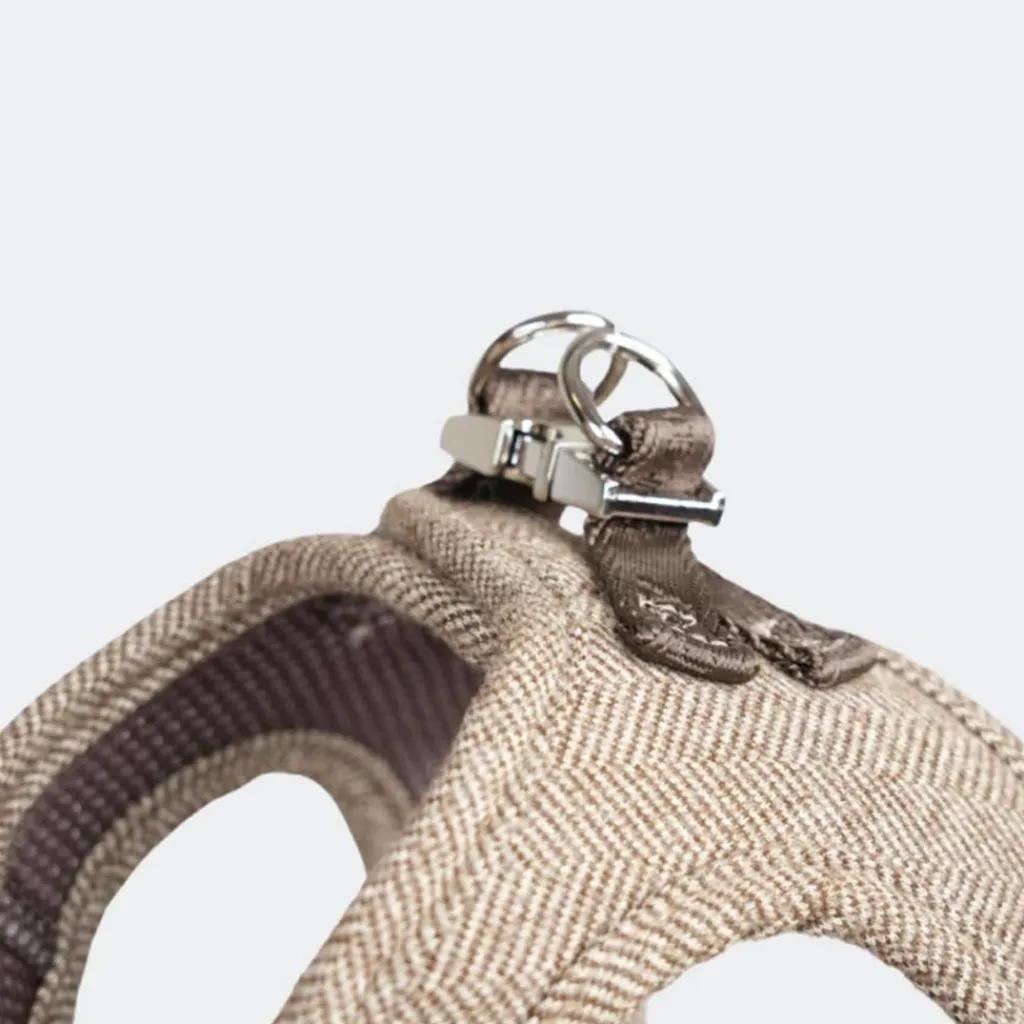 Staey Saga Step-in Harness< Halsbånd & Seler