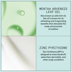 Nioxin Hovedbundspleje<Scalp Recovery™ Scalp Treatment