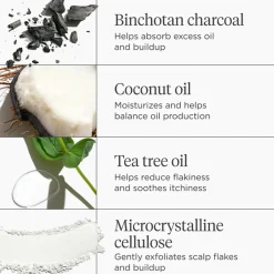 Briogeo Hovedbundspleje|Shampoo>Scalp Revival Oil Micro-exfoliating Shampoo