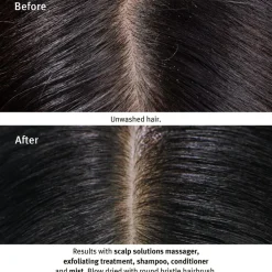 Aveda Hovedbundspleje<Scalp Solutions Balancing Shampoo