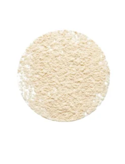 Shiseido Silk Powder Loose Radiant< Pudder