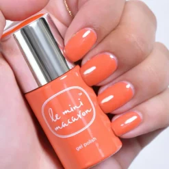 Le mini macaron Gelénegle><noscript><img width=