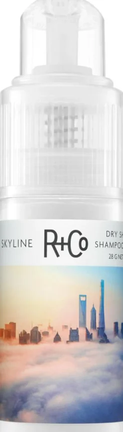 R+Co Volumen>SKYLINE Volume Powder